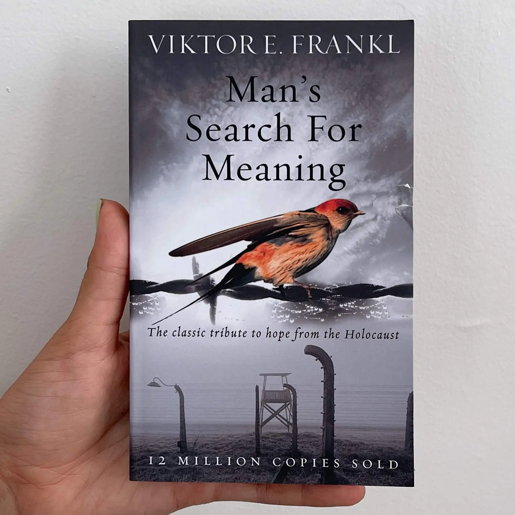 Man's Search for Meaning 